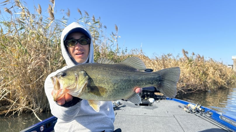 S__1269881_0 (カスタム)