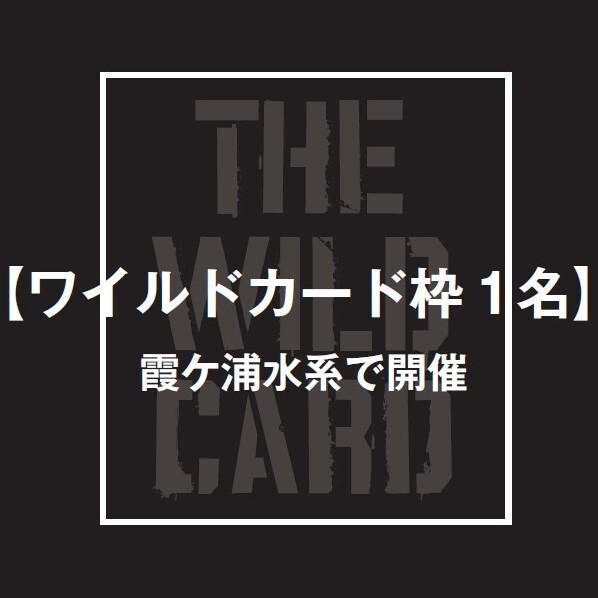 ワイルドカード